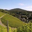 der Weinbergweg