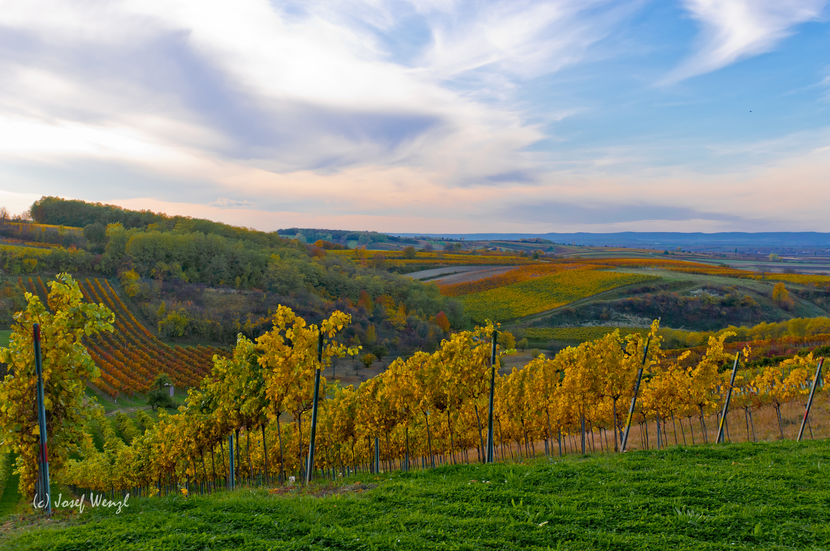 Der Weingarten im Herbst Foto &amp; Bild landschaft, Äcker