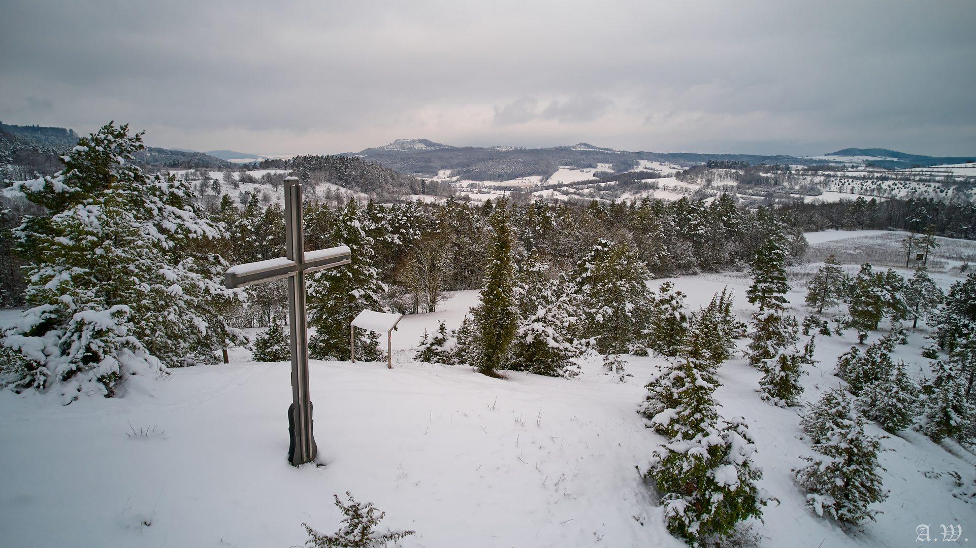 Der Weinhügel im Winter