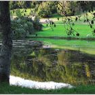 der Weininger Weiher, direkt unter dem beliebten Winzerhaus