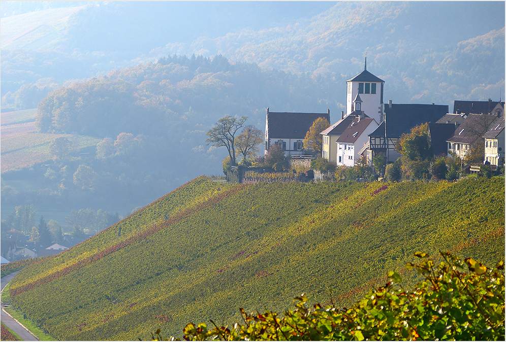 Der Weinjahrgang 2014 ist in den Fässern