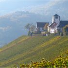 Der Weinjahrgang 2014 ist in den Fässern