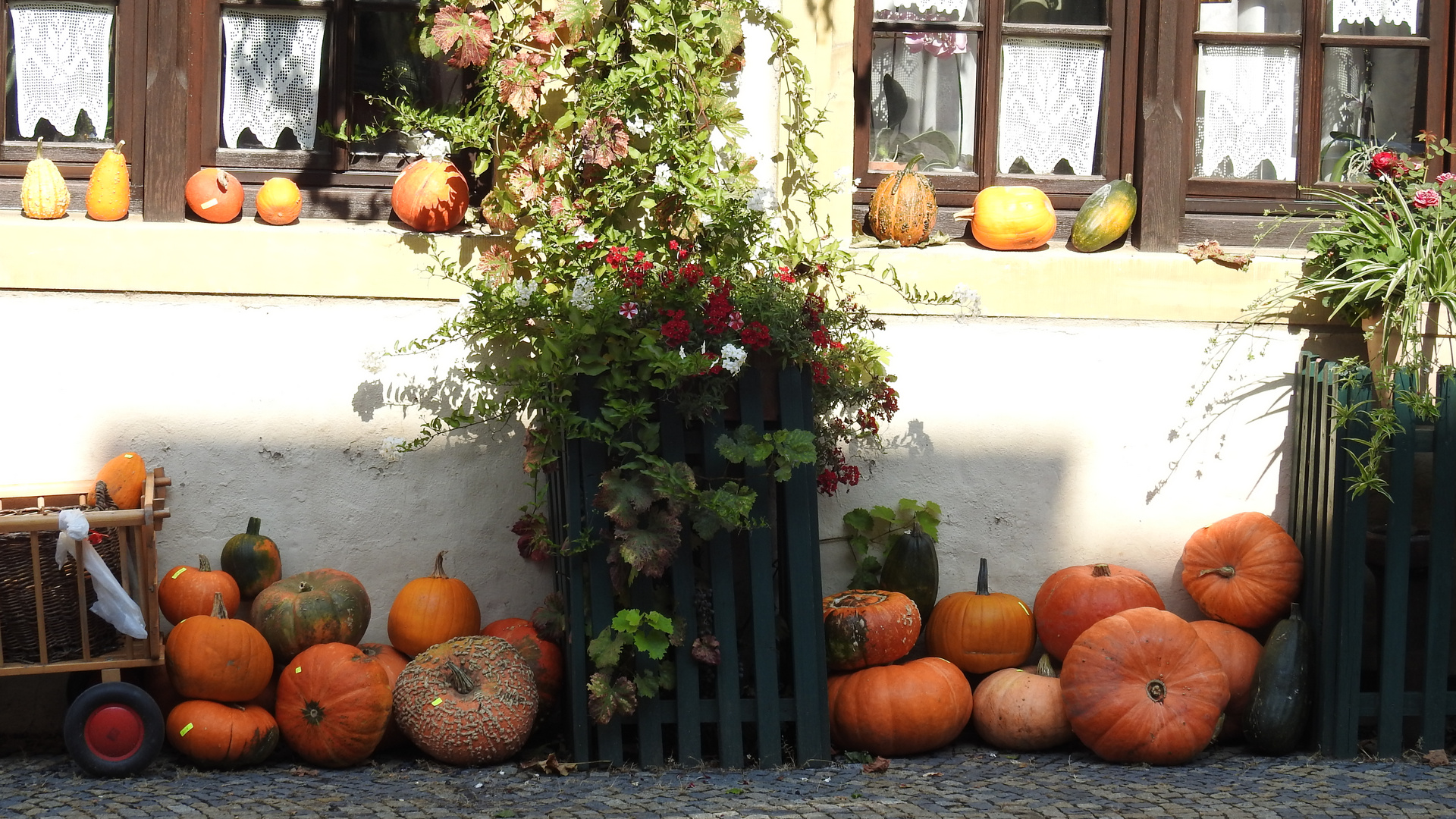 Der Weinort Prichsenstadt  