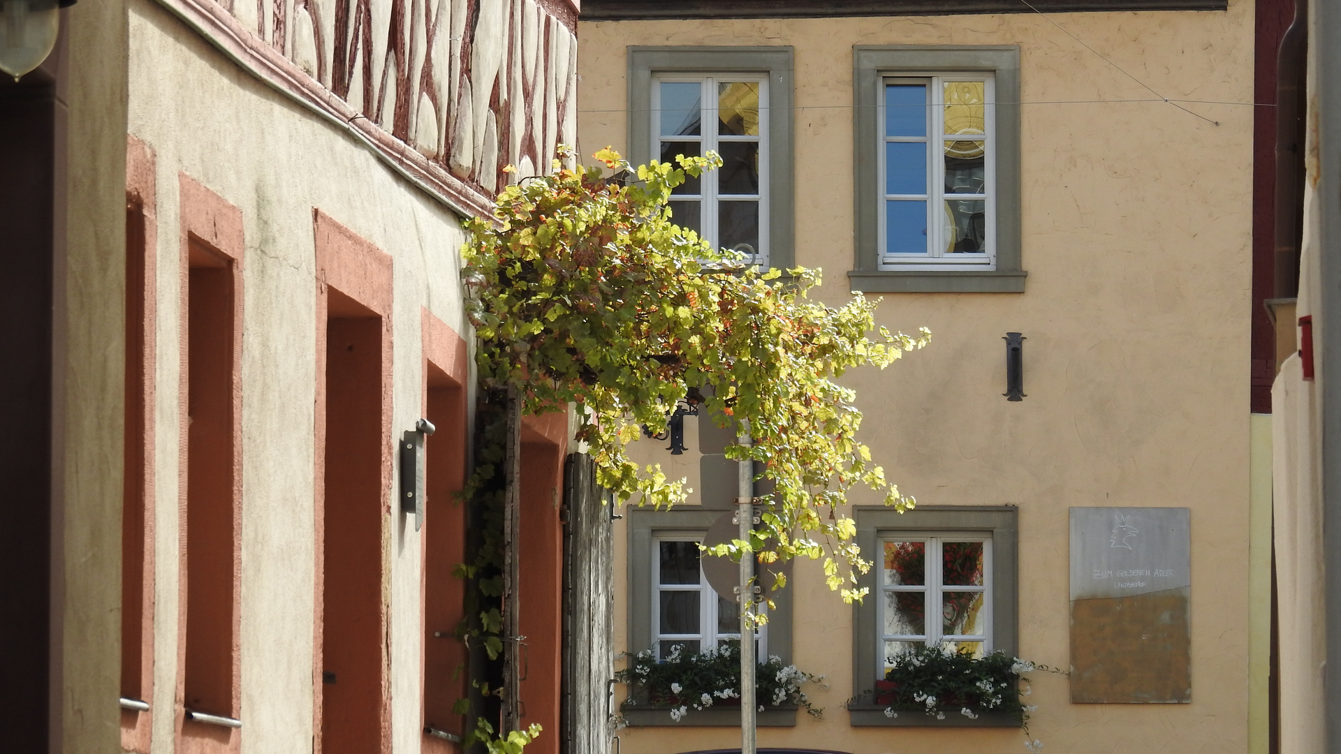 Der Weinort Prichsenstadt  