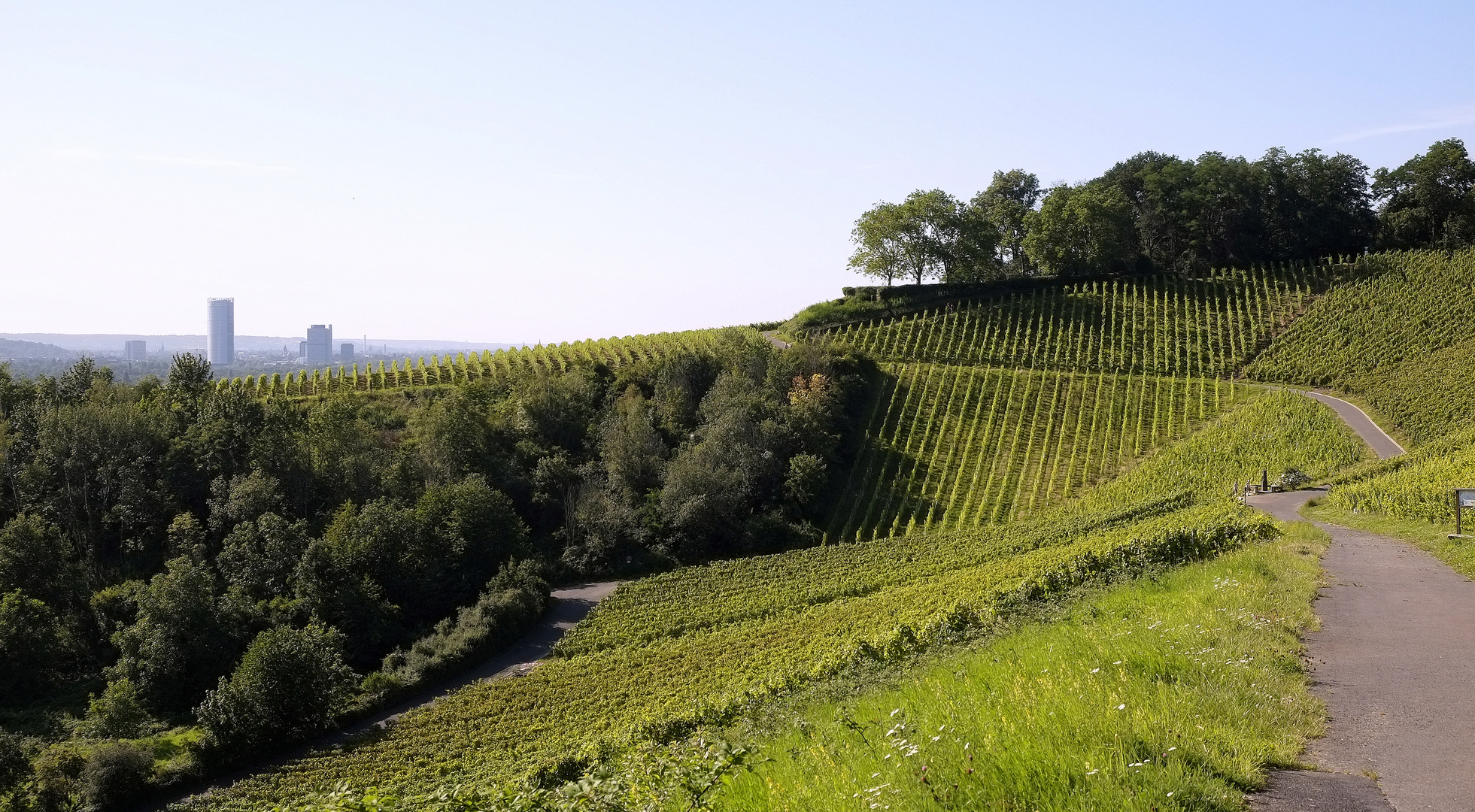 der Weinwanderweg