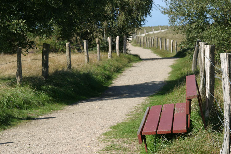 Der Weise weist den Weg, der Schlaue beschildert ihn, ...