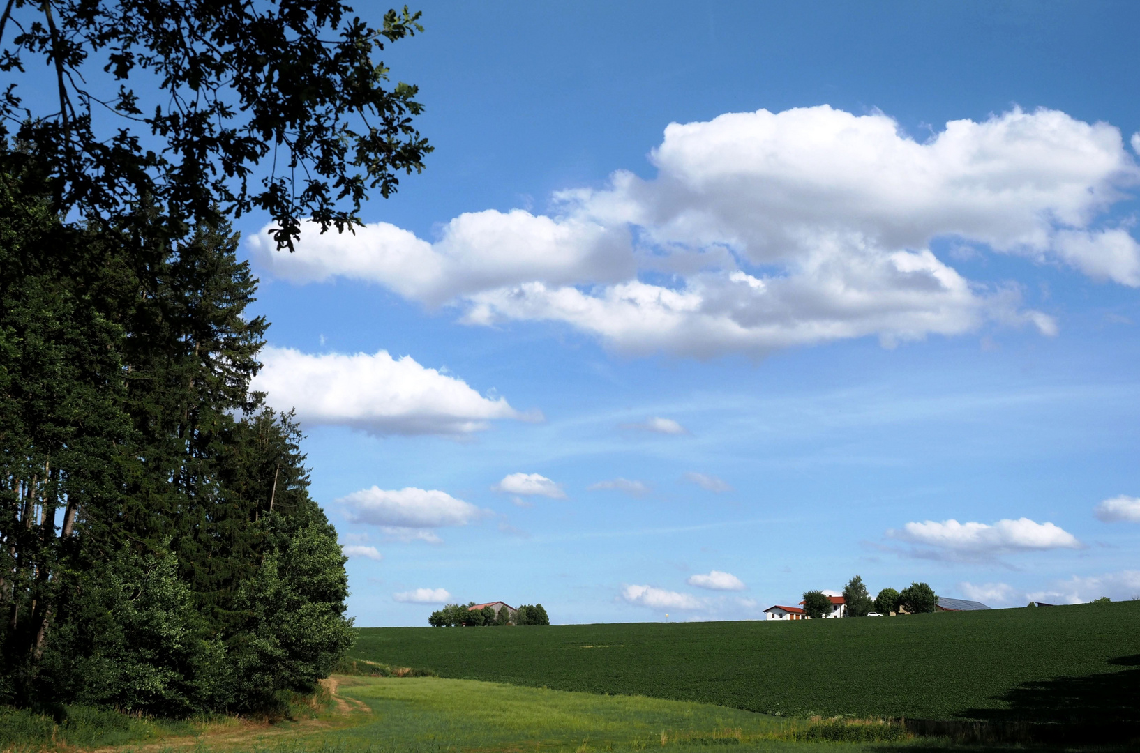 Der weiß - blaue Himmel