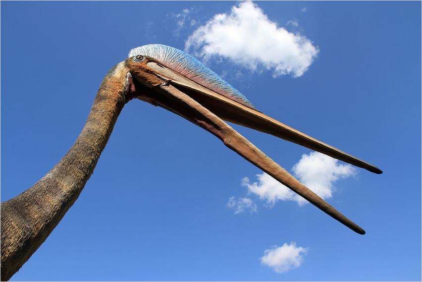 der weiß, wie Wolken schmecken