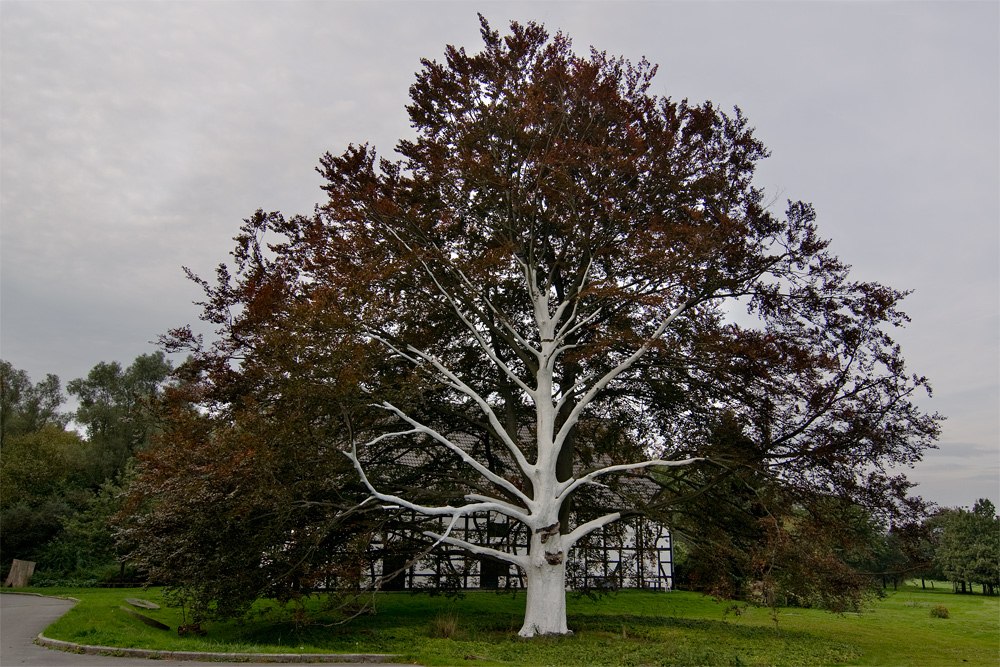 Der weiße Baum