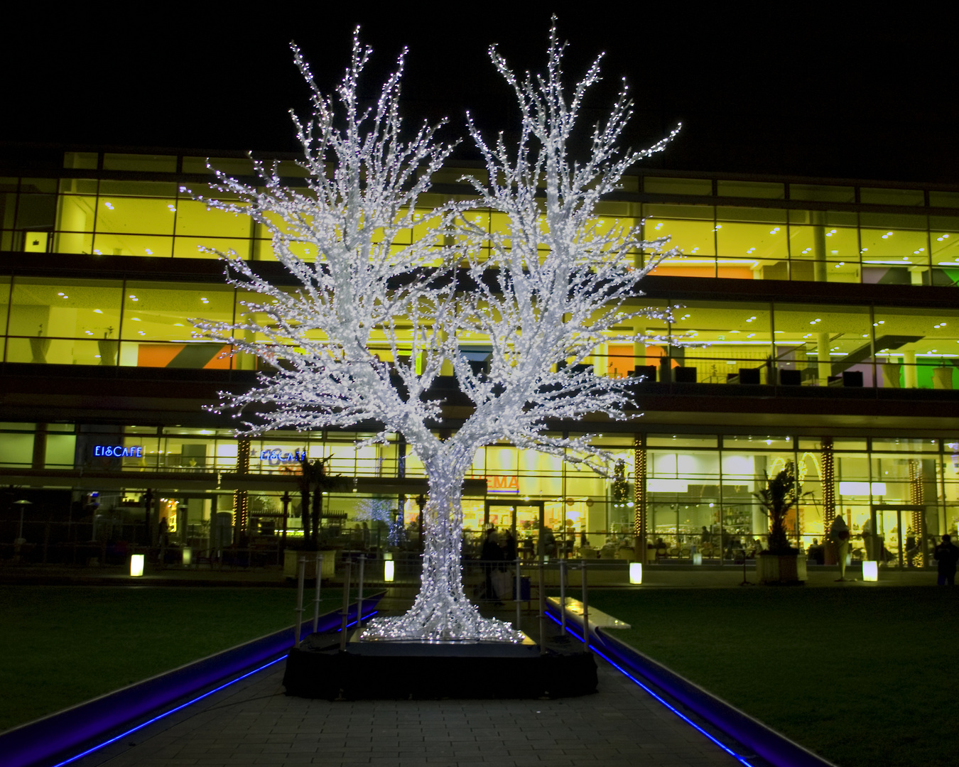 Der weiße Baum