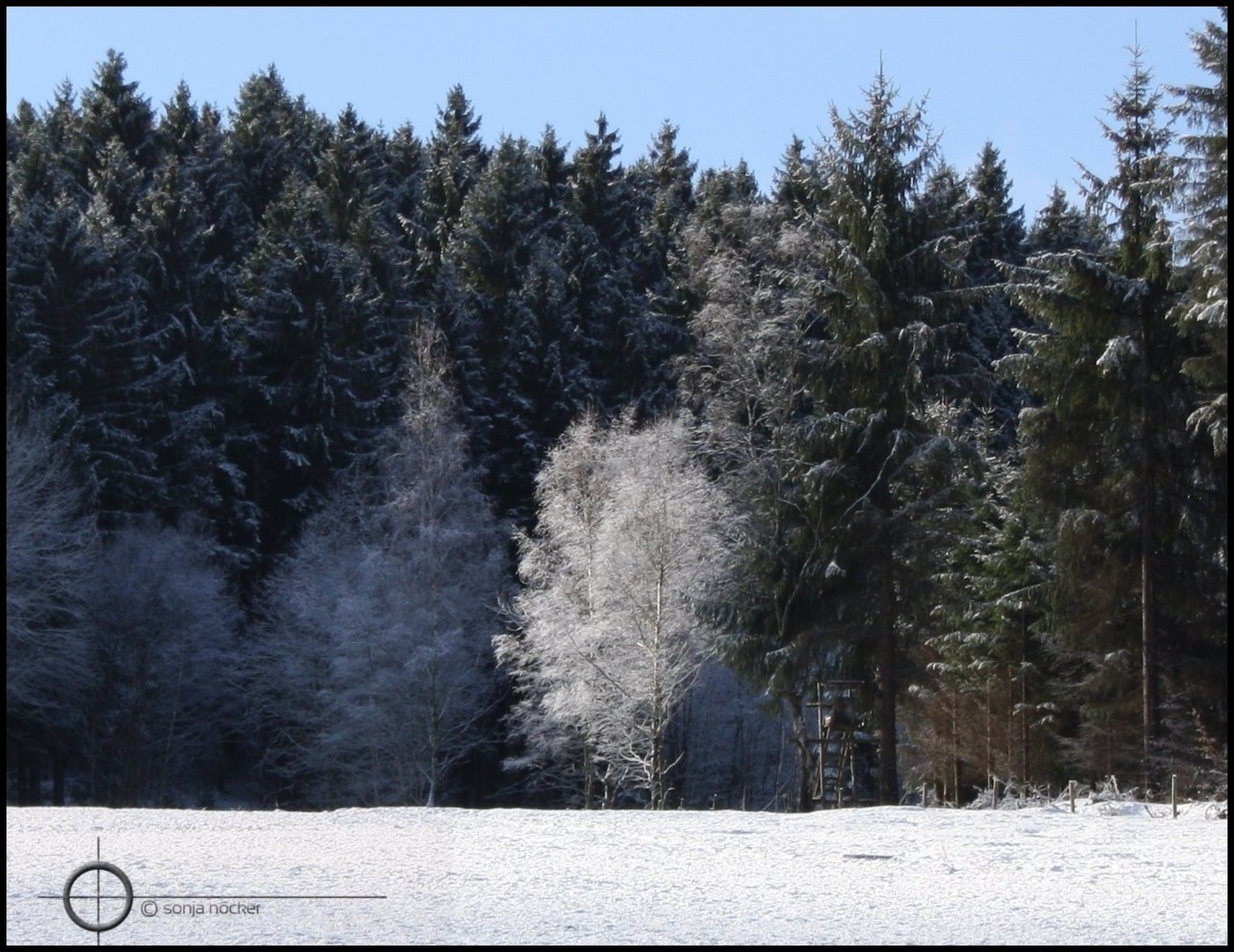 Der weiße Baum