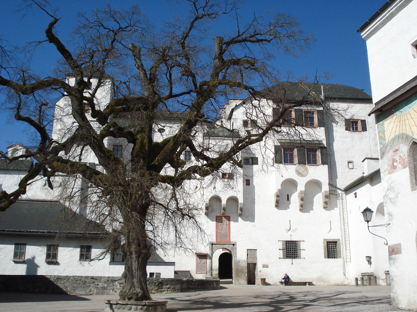 Der Weiße Baum