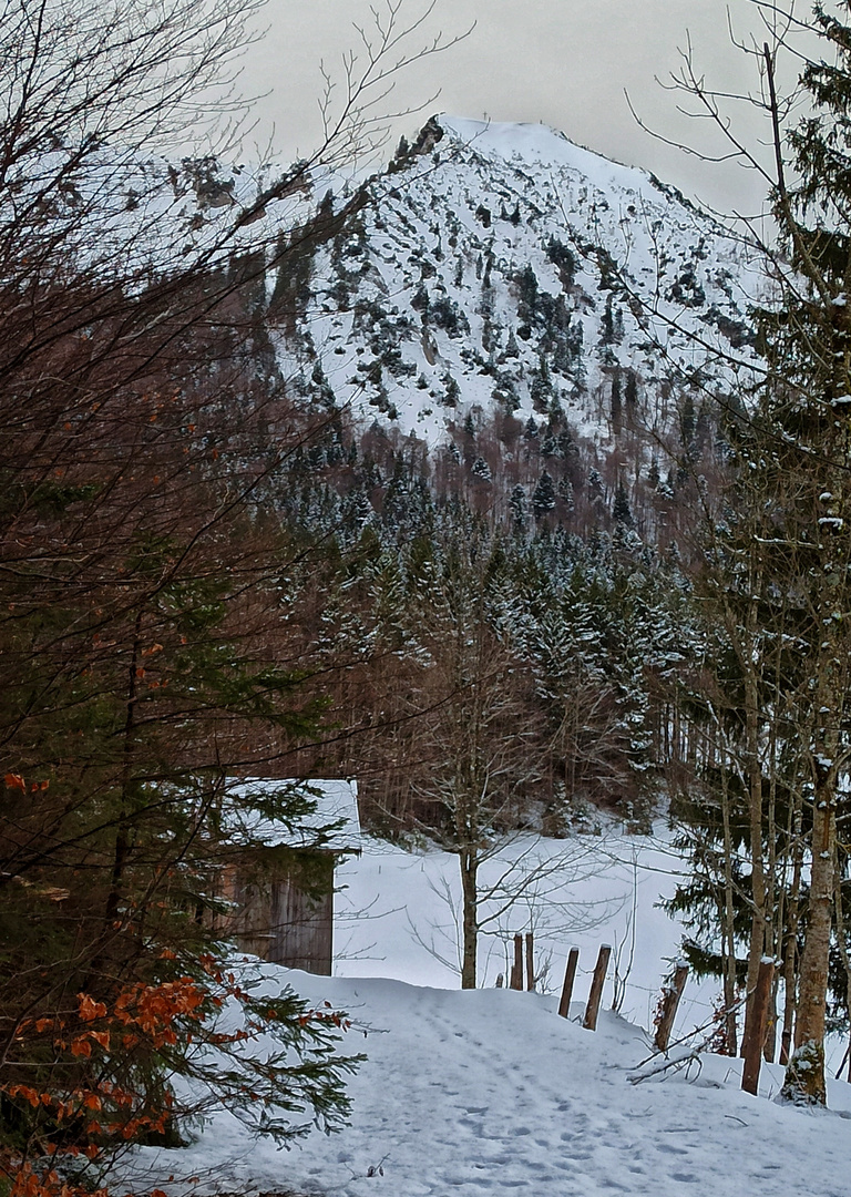 Der weiße Berggeist, der einsame Kratzer