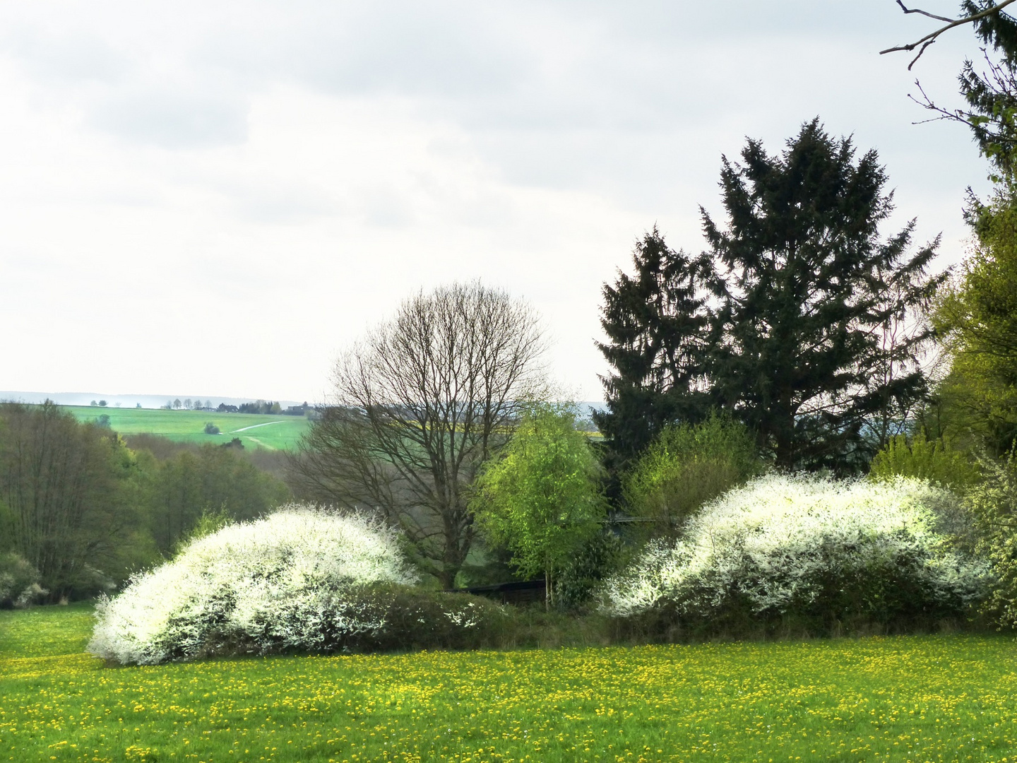 Der weiße Busen der Natur