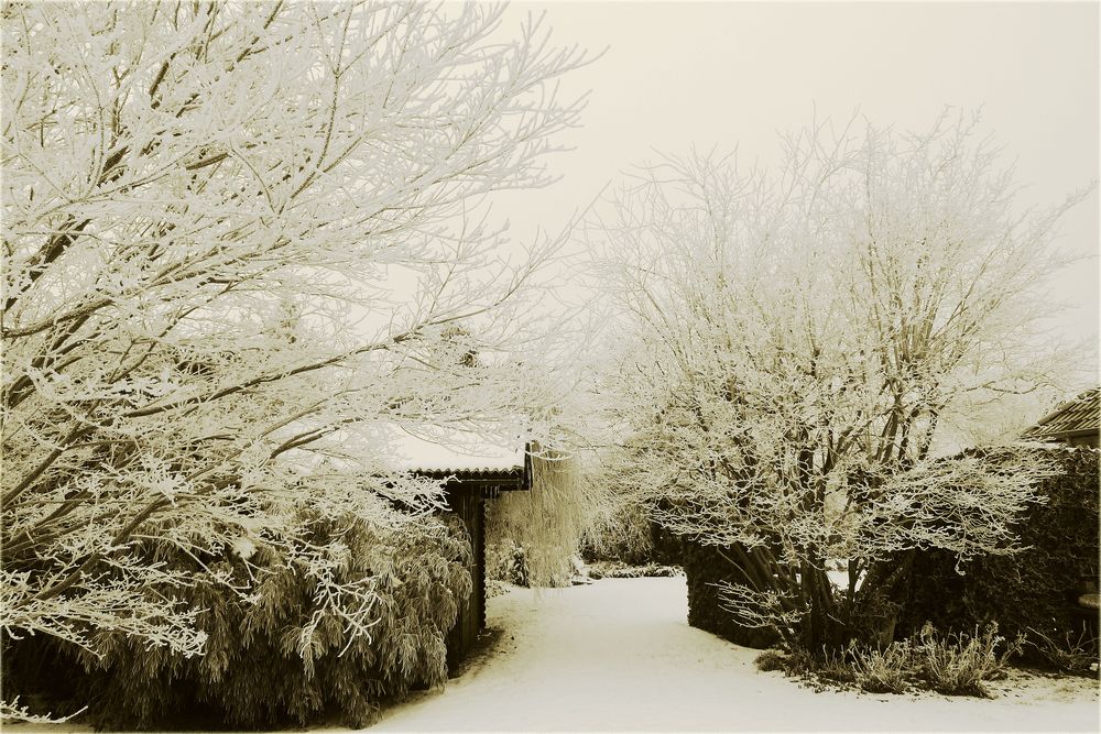 - der weisse Garten -