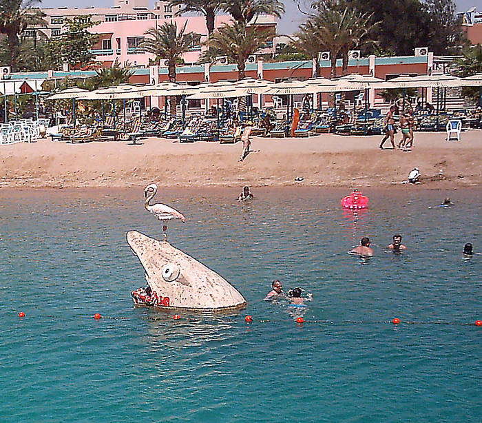 Der weiße Hai - am Strand von Hurghada in Ägypten