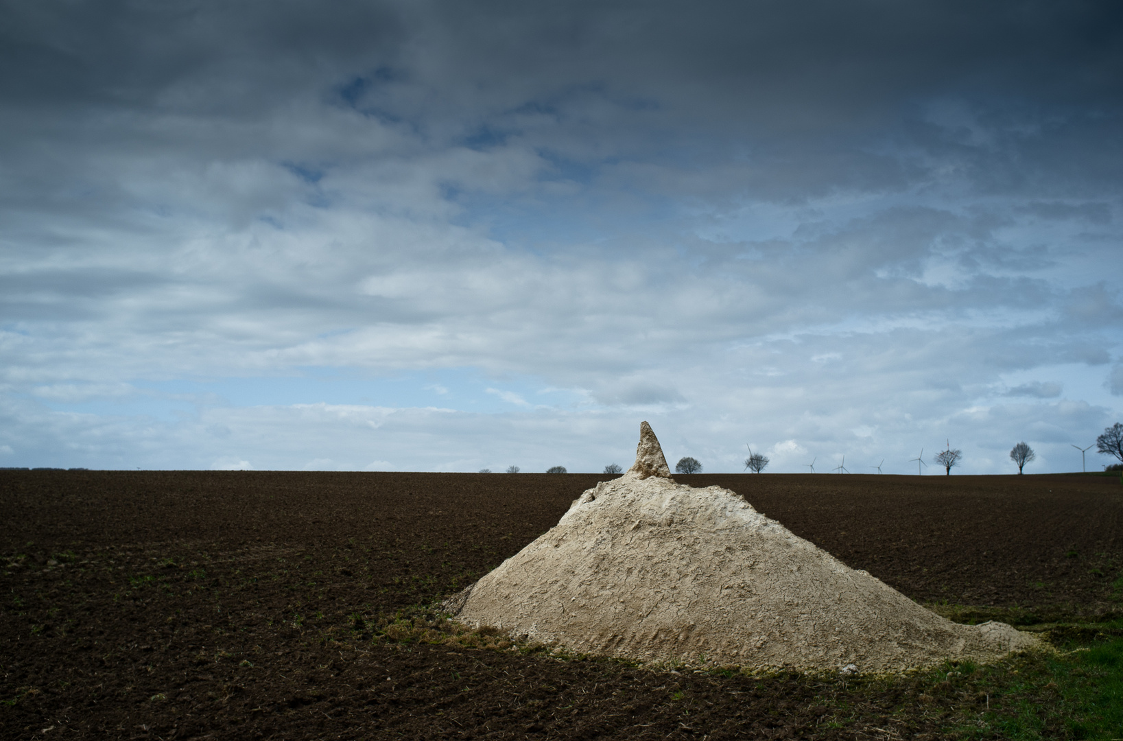 Der weiße Hai in Ostwestfalen-Lippe