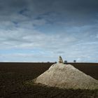 Der weiße Hai in Ostwestfalen-Lippe