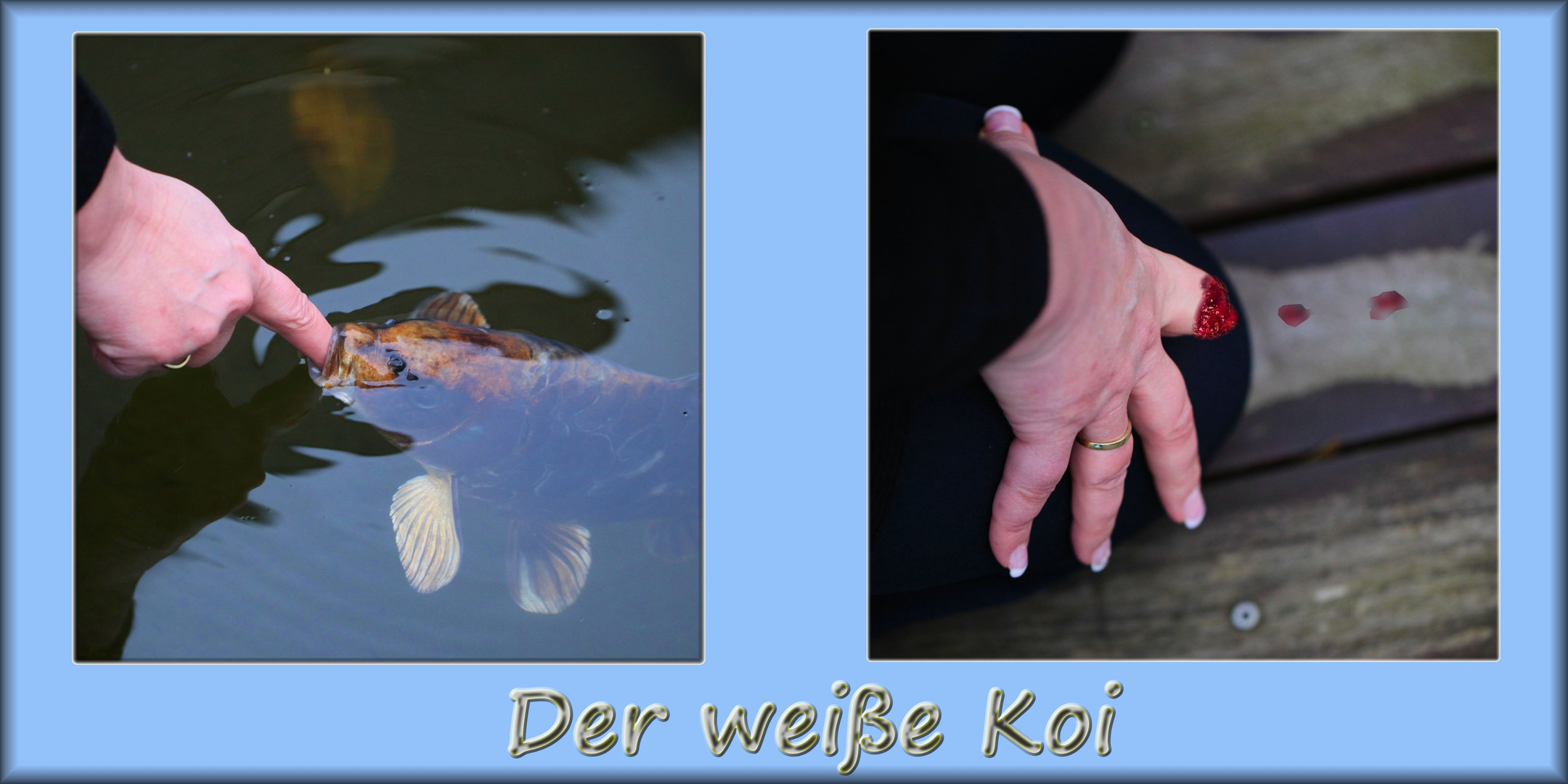 der weiße Koi (Teil 3+4)