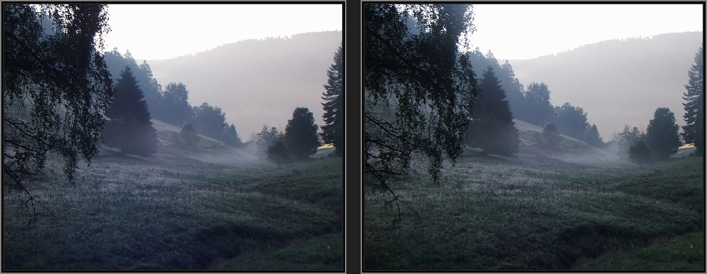 der weiße nebel....