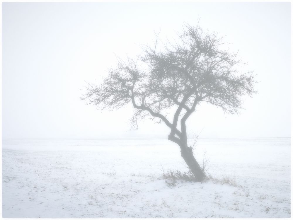 Der weiße Nebel wunderbar