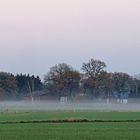 ...der weiße Nebel wunderbar