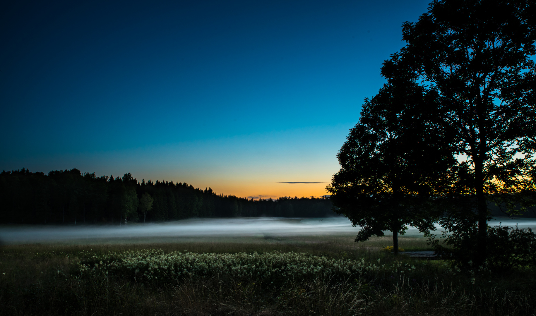 ... der weiße Nebel wunderbar.