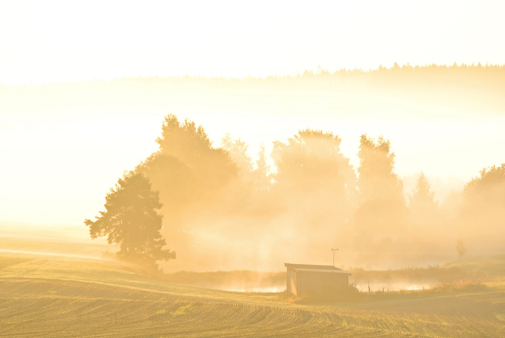 Der weiße Nebel wunderbar