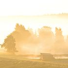 Der weiße Nebel wunderbar