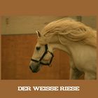 Der weiße Riese