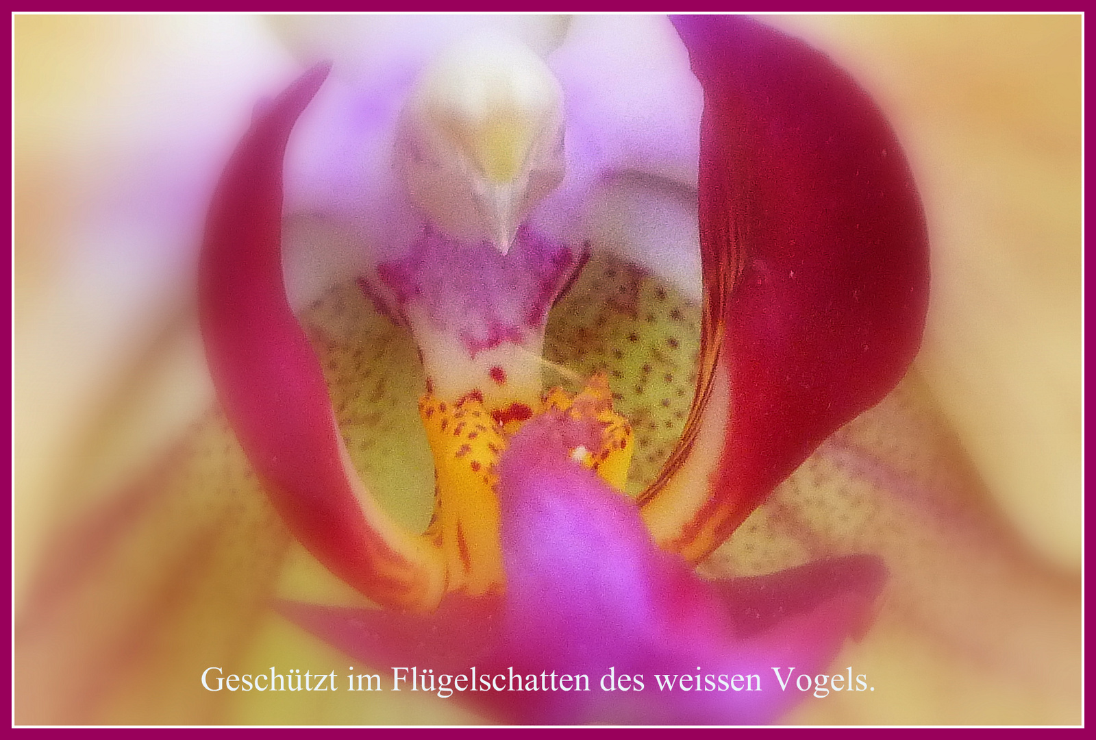 Der weisse Vogel.