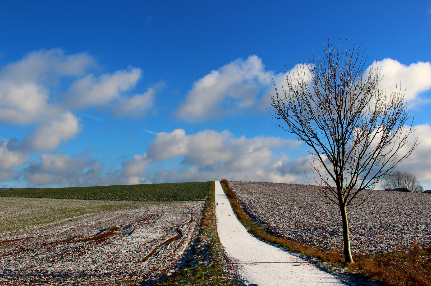 Der weiße Weg