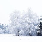 Der weiße Winter ist zurück