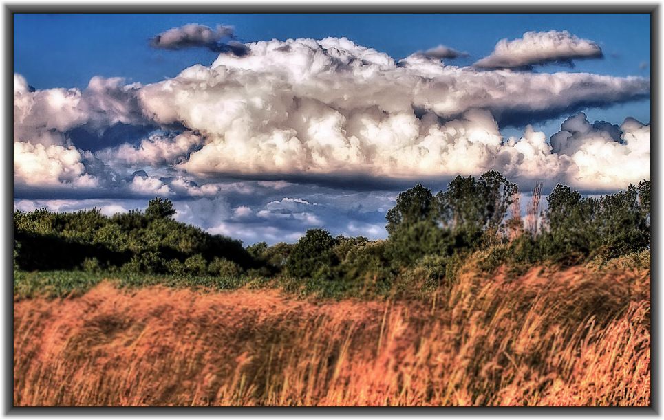 "Der WEIßE - WOLKEN - HAI" und das Krokodil (HDR)