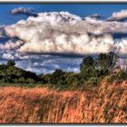 "Der WEIßE - WOLKEN - HAI" und das Krokodil (HDR)