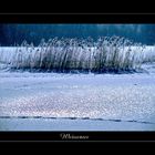 Der Weissensee bei Pfronten