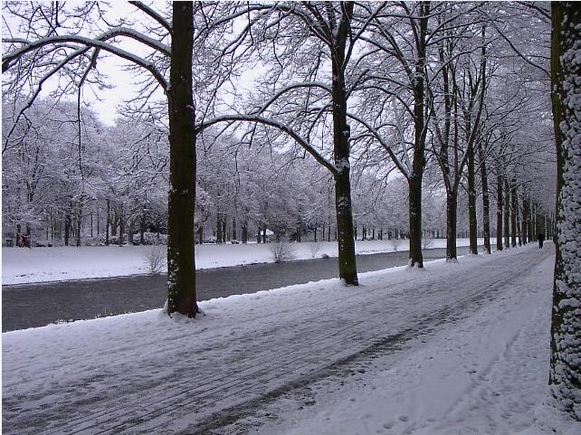 Der weißer Weg - Bad Neuenahr von Andre Brazuka 