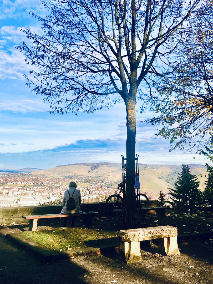 der weite Blick ins Land und die schöne Natur 