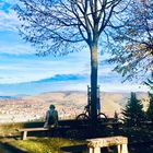 der weite Blick ins Land und die schöne Natur 