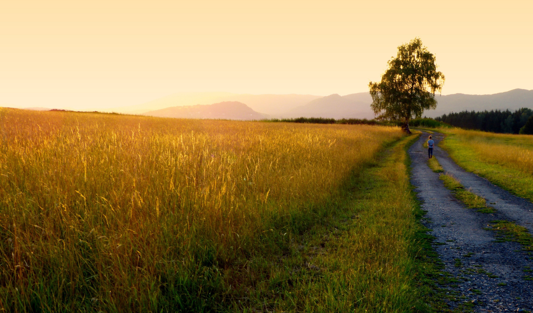 Der weite Heimweg