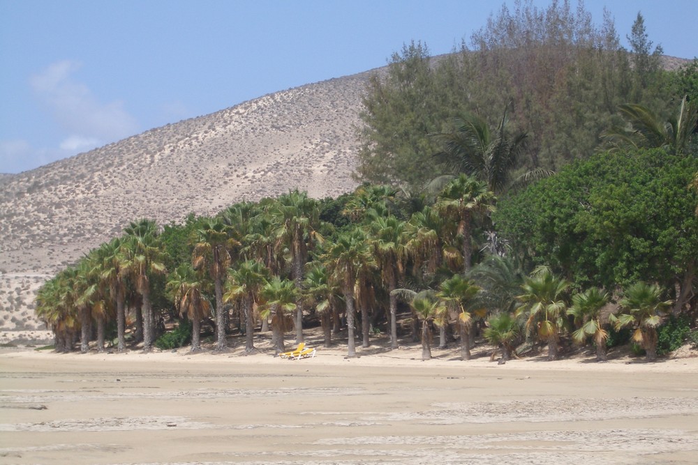 der weite Strand von Fuerteventura