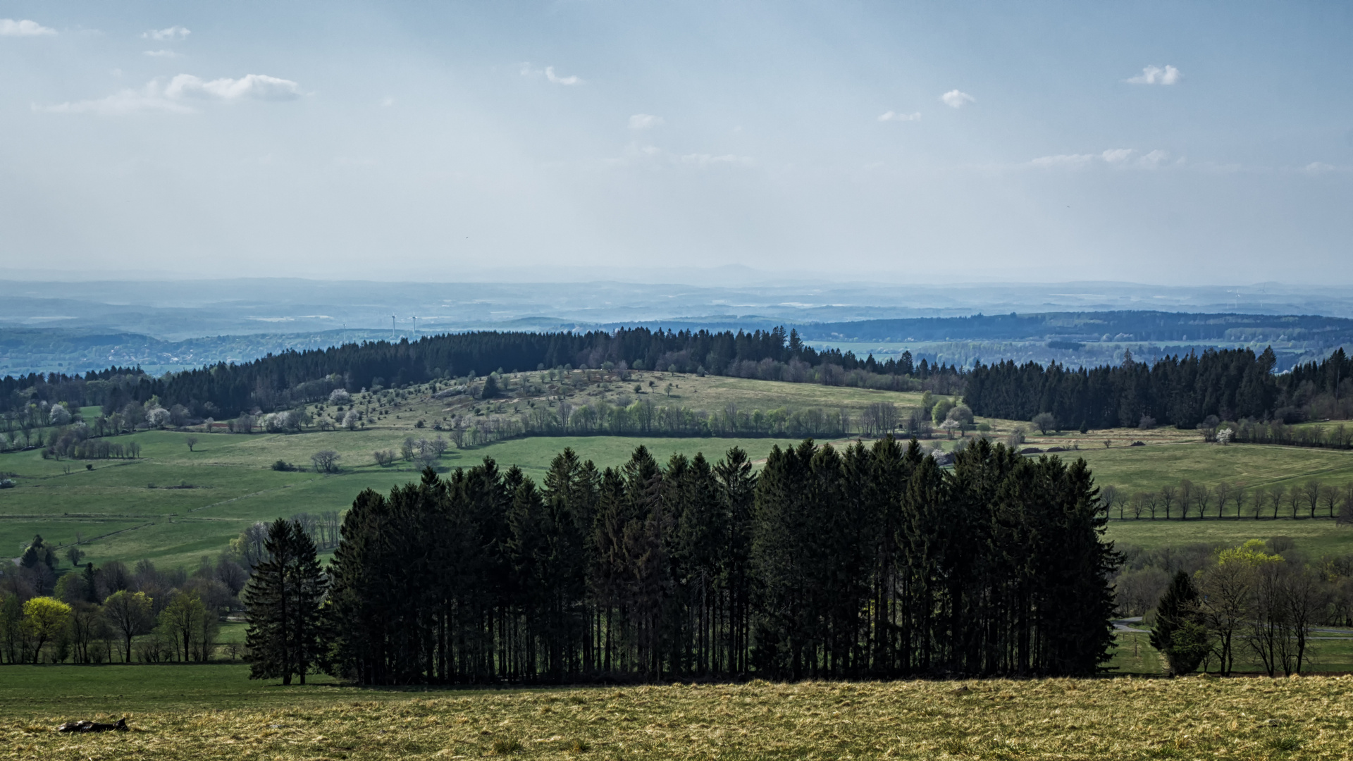 Der weitere Ausblick...