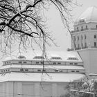 Der Weizen-Dom