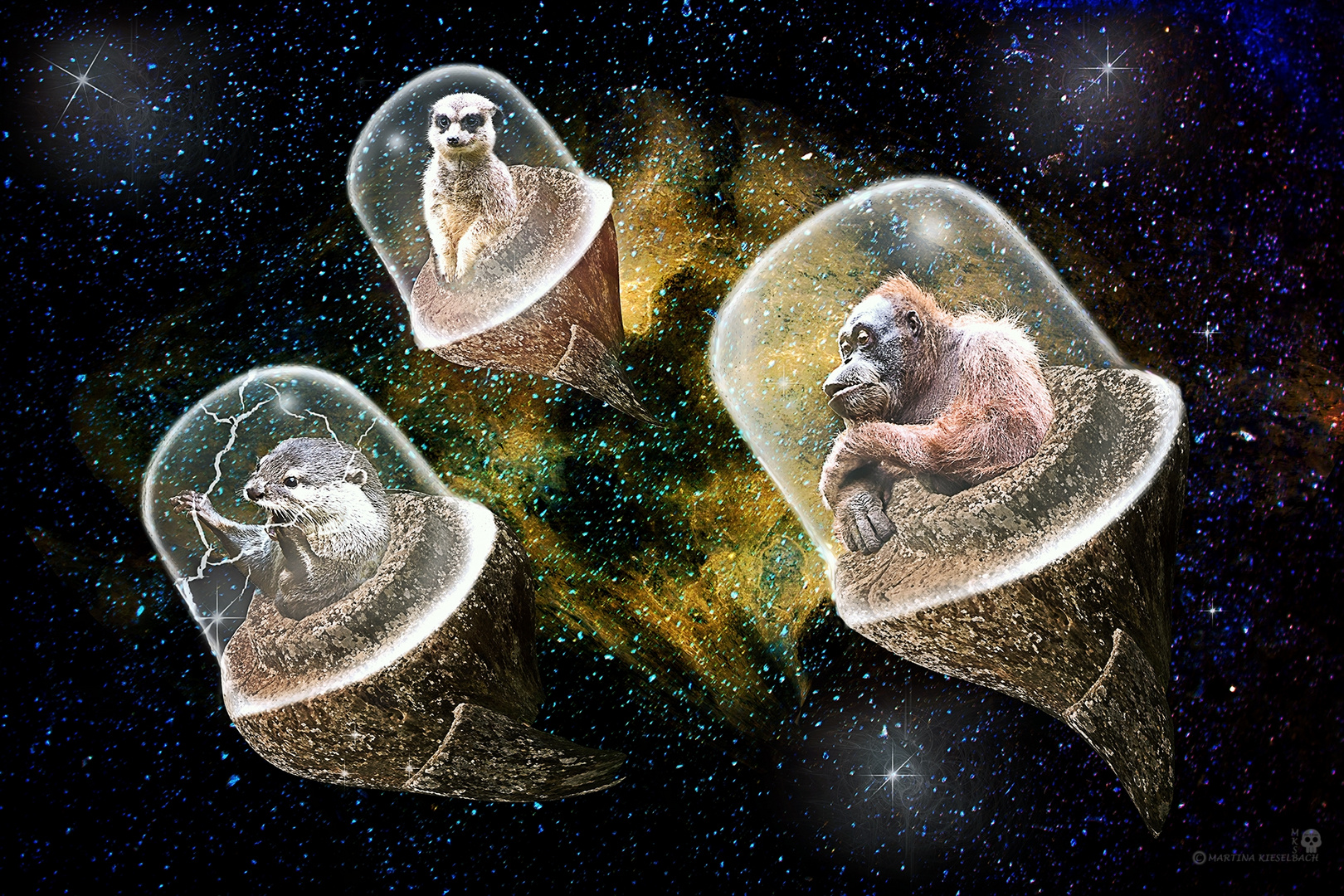 Der Weltraum unendliche Weiten. Foto & Bild digiart challenge, 046 der tonkrug, digiart