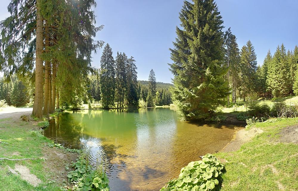 Der Werrateich bei Sachsenbrunn 2