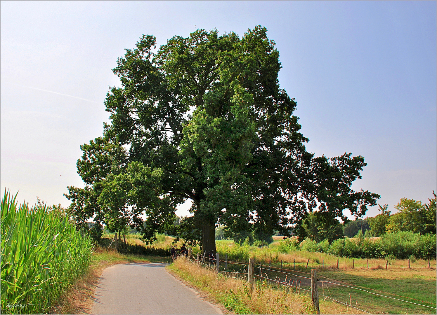 der Werse-Radweg . . .