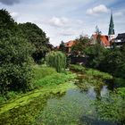 Der Werse-Radweg bei Albersloh