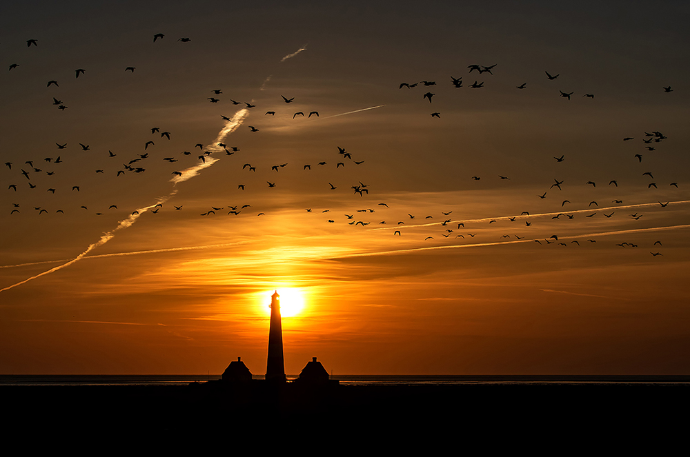 Der Westerhever.....