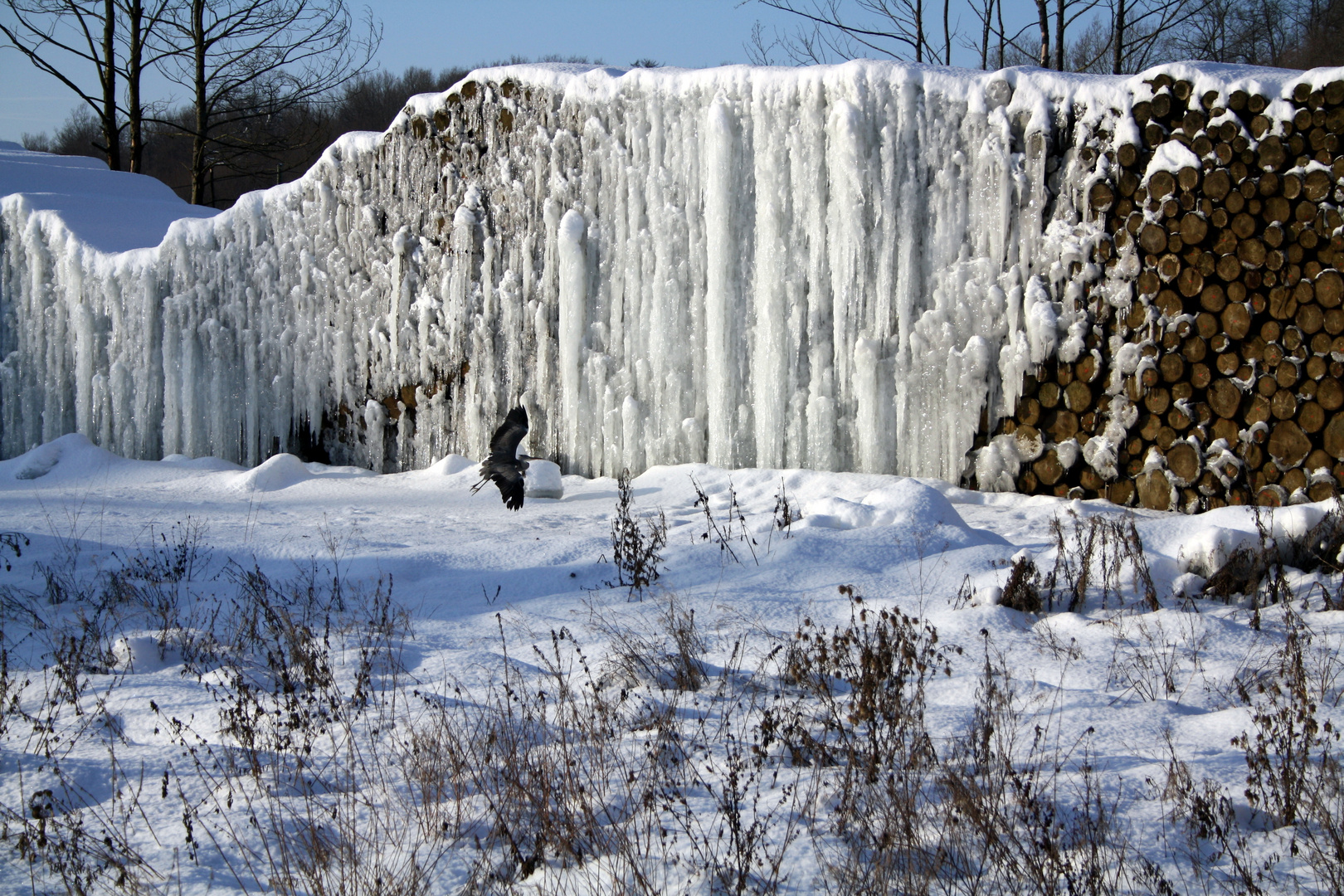 Der Westerwälder Winter