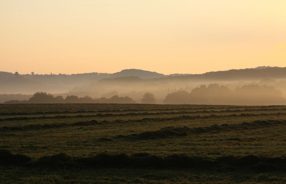 Der Westerwald erwacht